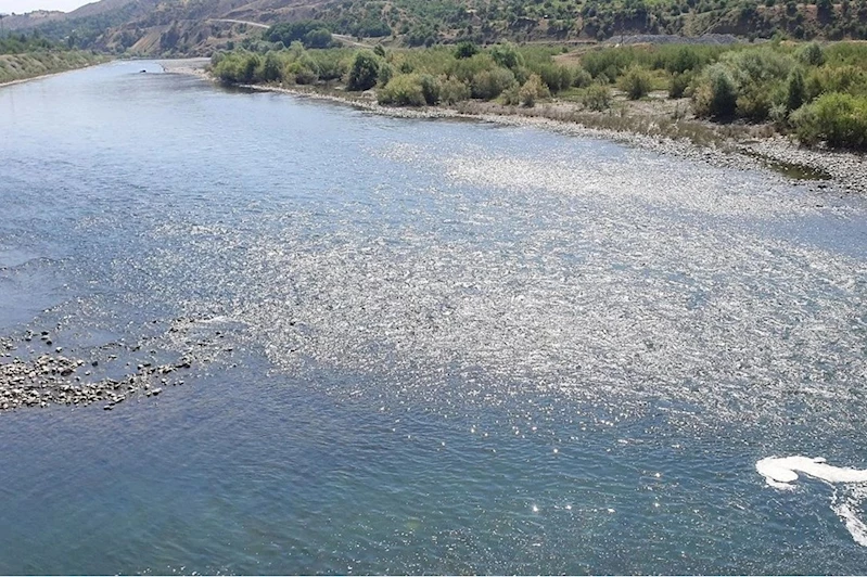 Elazığ