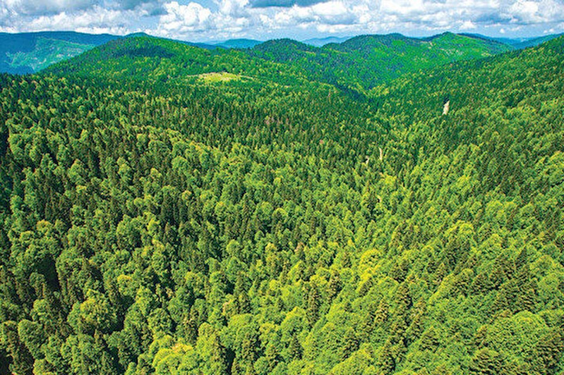 Bolu