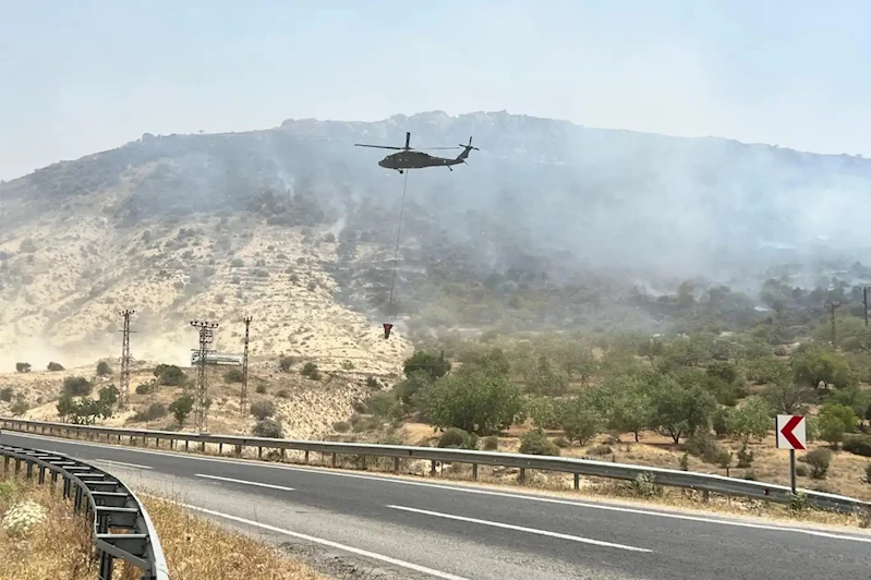 Son iki günde çıkan orman yangınlarından 8
