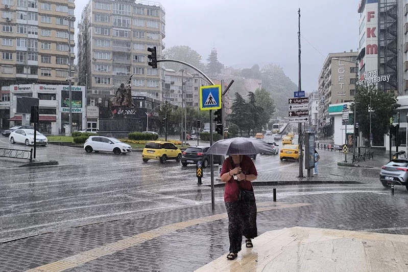 Bursa