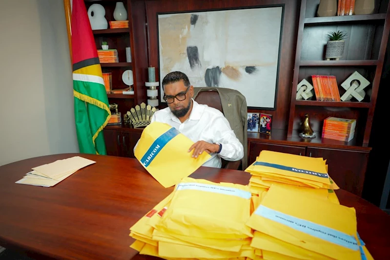İrfan Ali, Guyana